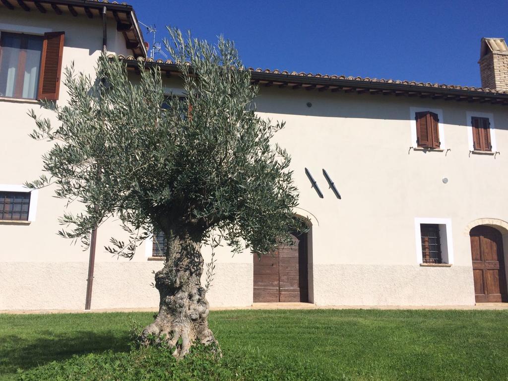 Podere Le Volte Degli Angeli Spello Dış mekan fotoğraf