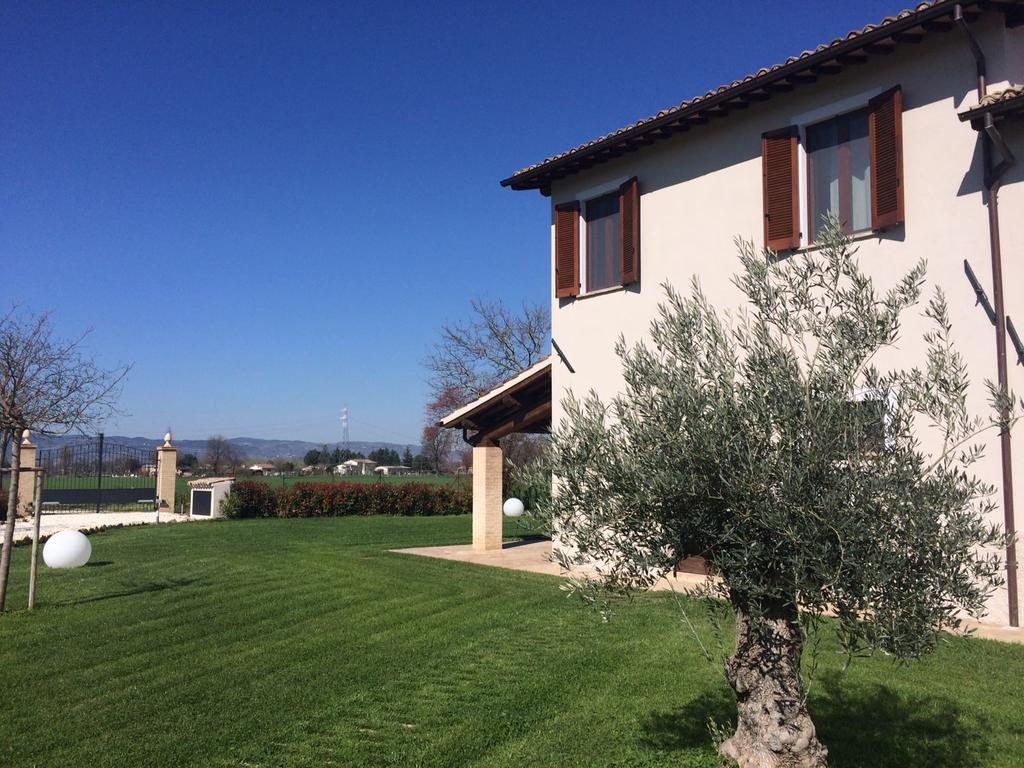 Podere Le Volte Degli Angeli Spello Dış mekan fotoğraf