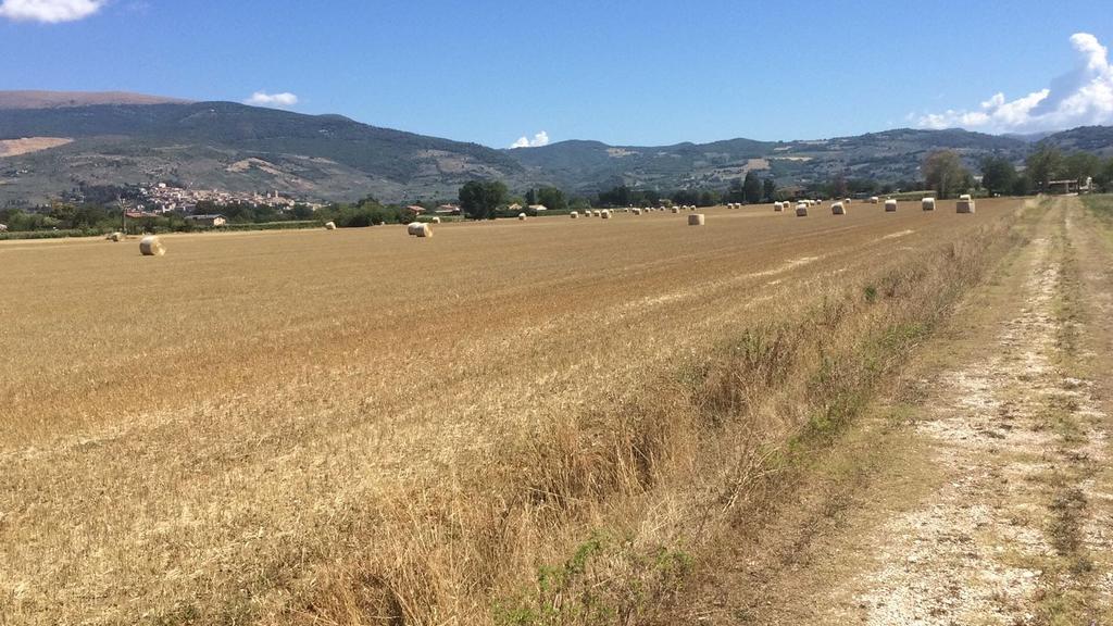 Podere Le Volte Degli Angeli Spello Dış mekan fotoğraf