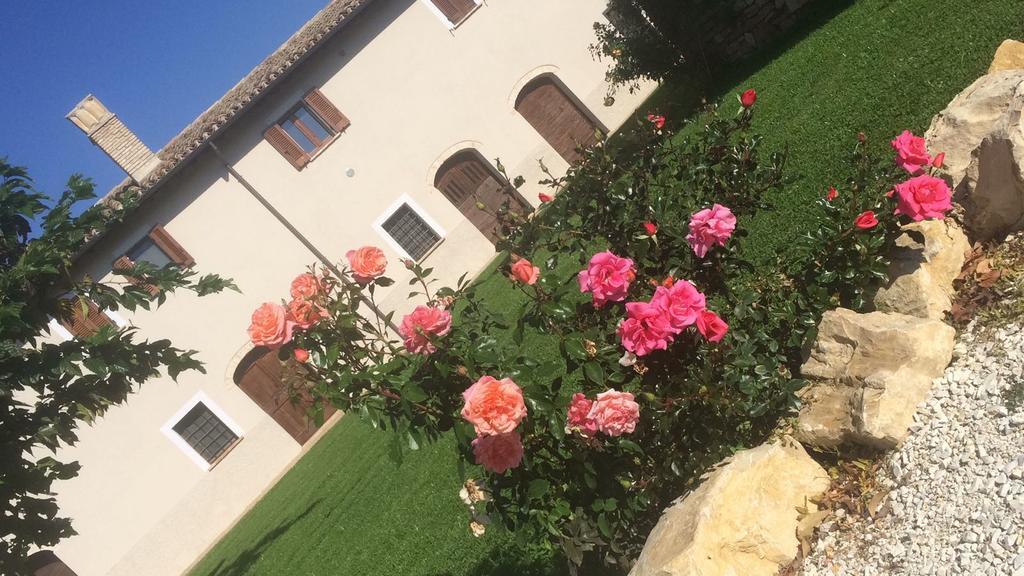 Podere Le Volte Degli Angeli Spello Dış mekan fotoğraf