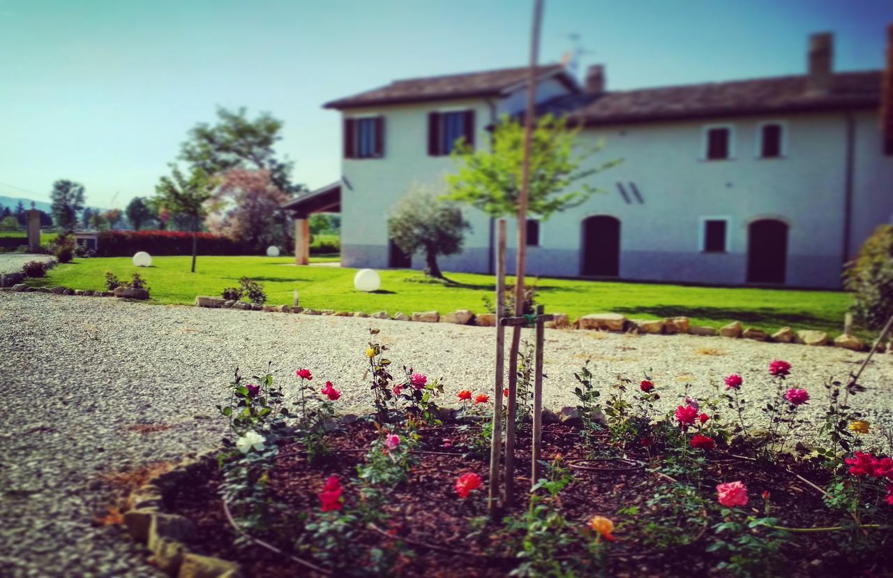 Podere Le Volte Degli Angeli Spello Dış mekan fotoğraf